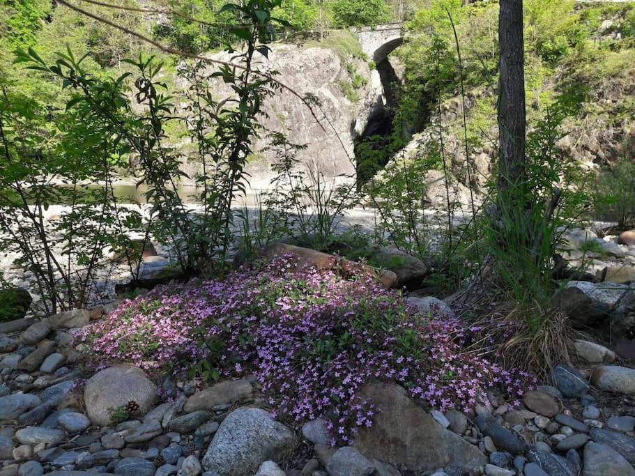 Appartamento La Meridiana A Traffiume Каннобио Экстерьер фото